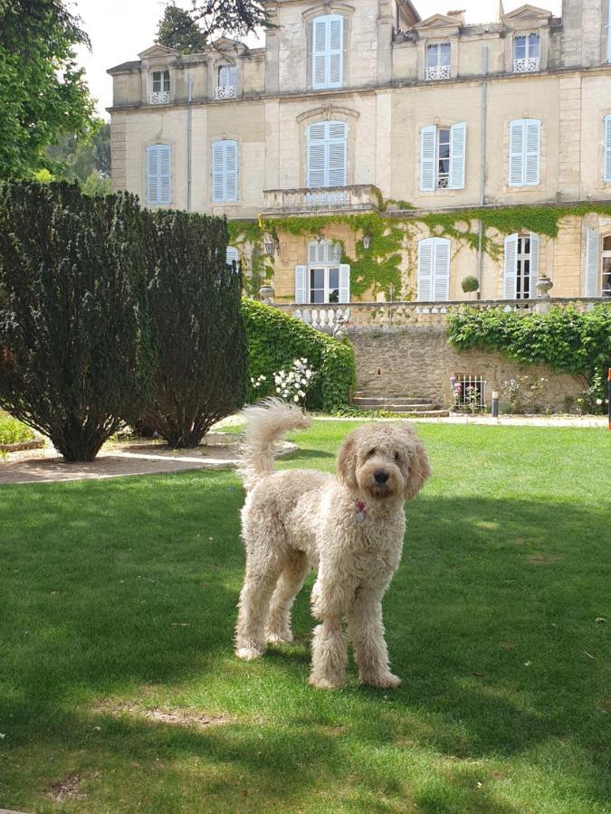 Chateau De Varenne Sauveterre  Eksteriør bilde